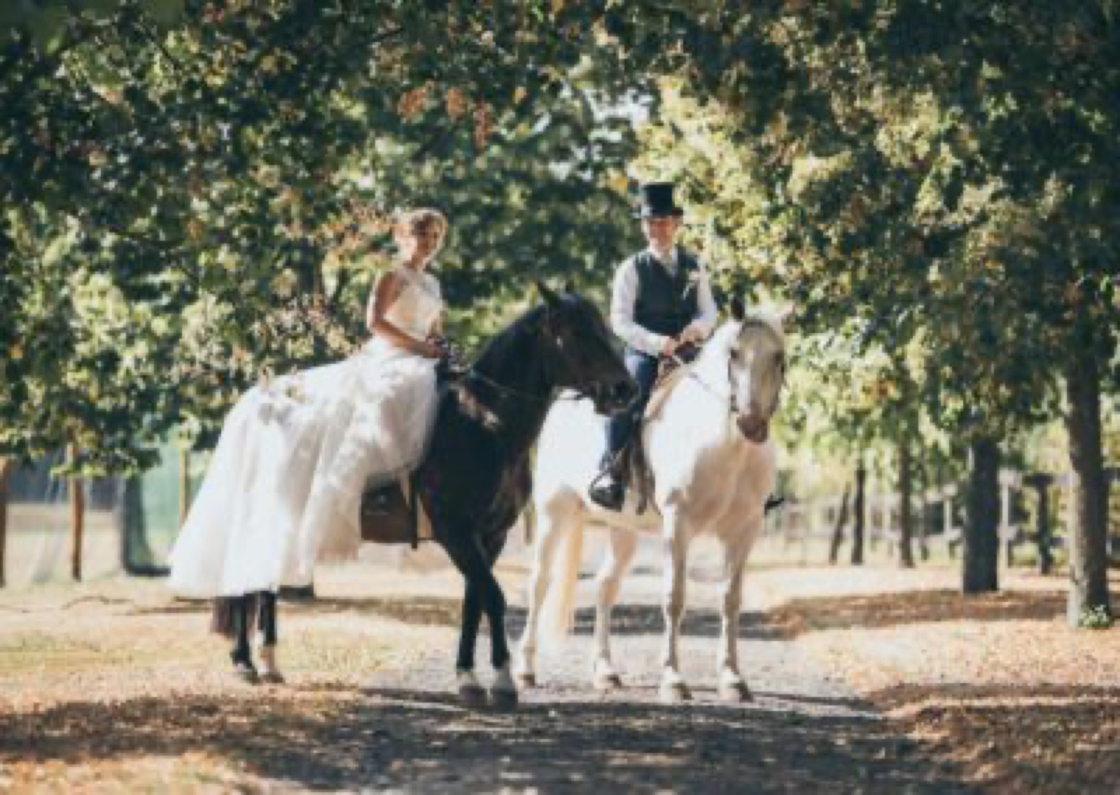 Resort Malevil wedding venue - photo 3