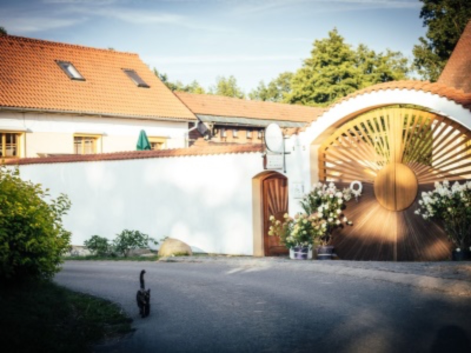 Strnadovský mlýn wedding venue - photo 10