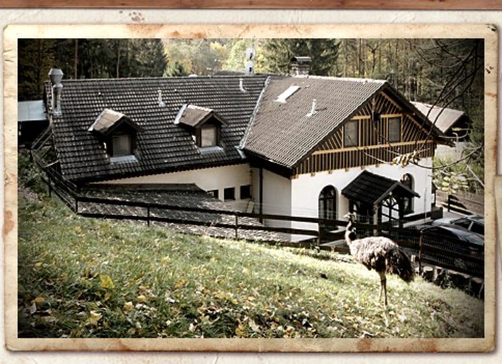 Ranč u jelena wedding venue - photo 2