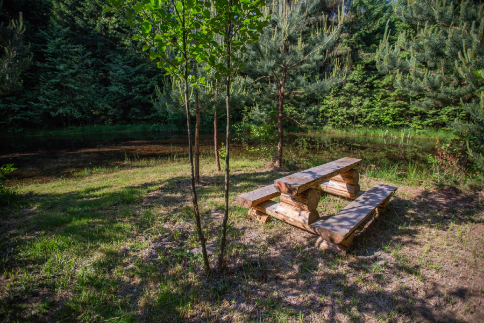 Hájenka Budislav wedding venue - photo 10
