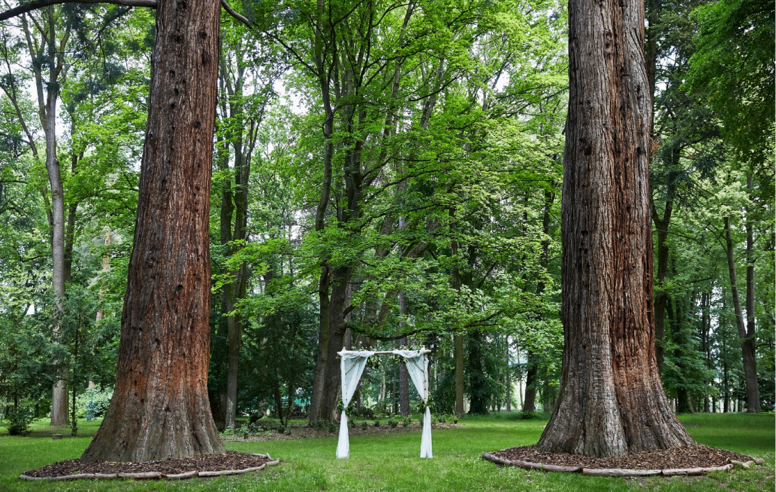 Zámek Ratměřice **** wedding venue - photo 4