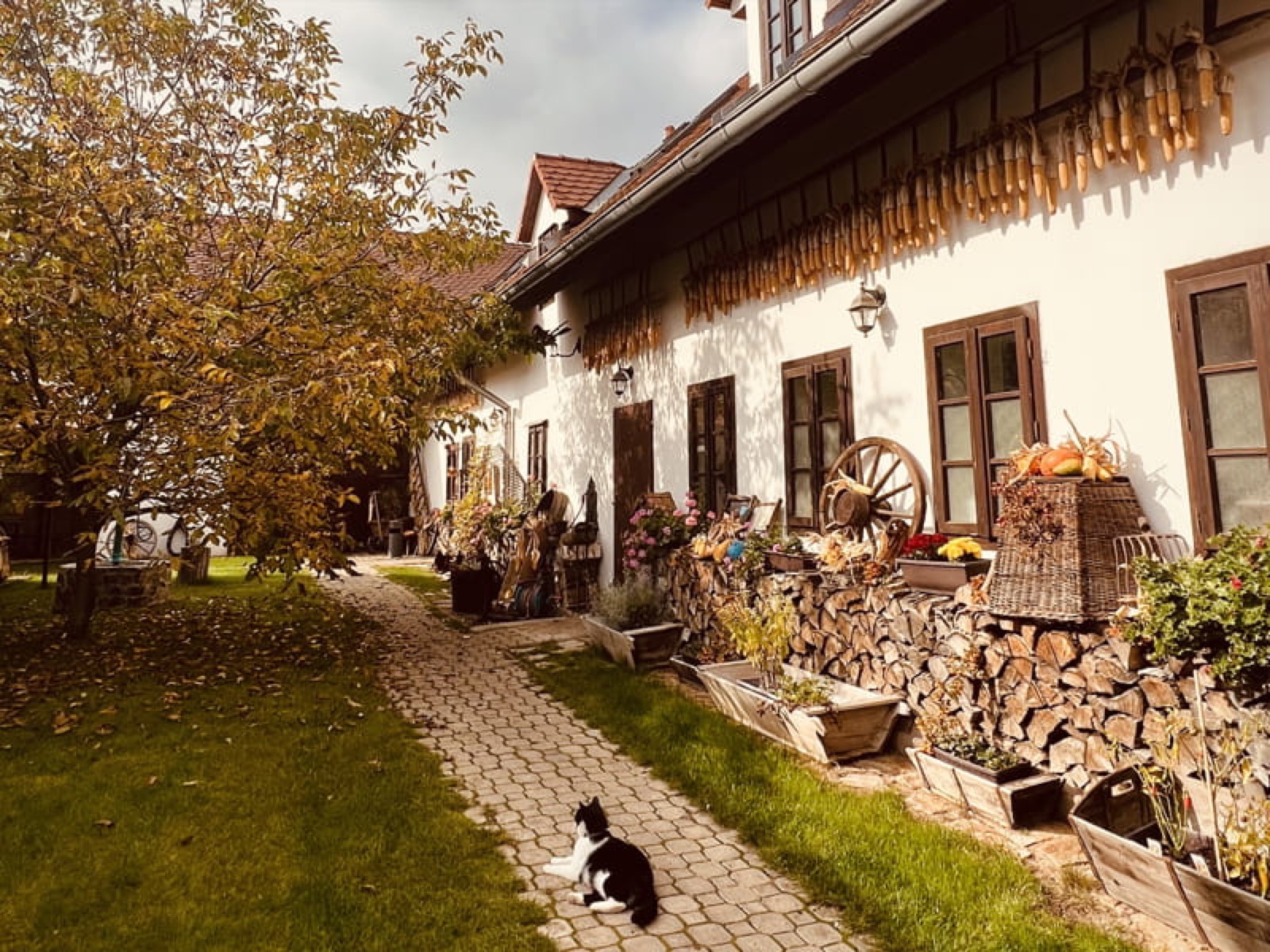 Číčovický dvůr wedding venue - photo 6