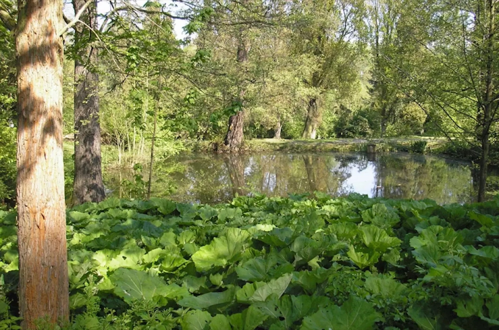 Luftova zahrada wedding venue - photo 3
