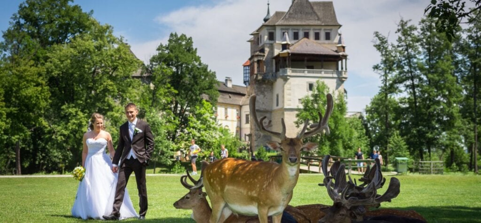 Zámek Blatná wedding venue - photo 3