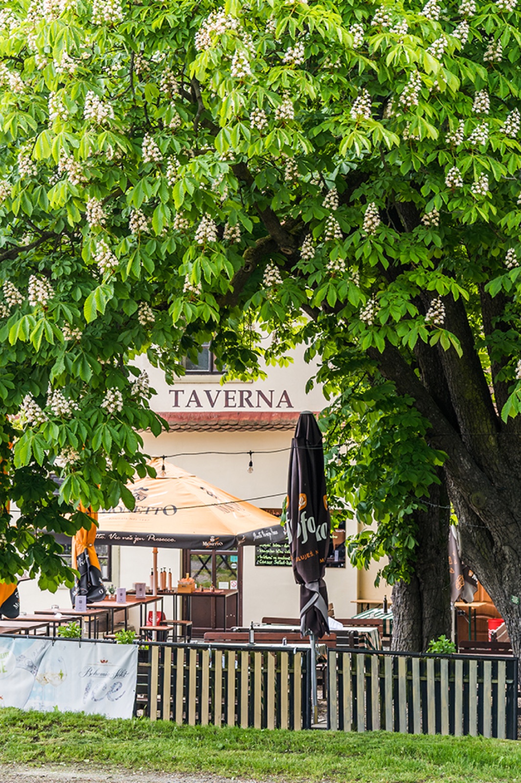 Restaurace TAVERNA u Benediktinů Rajhrad wedding venue - photo 7