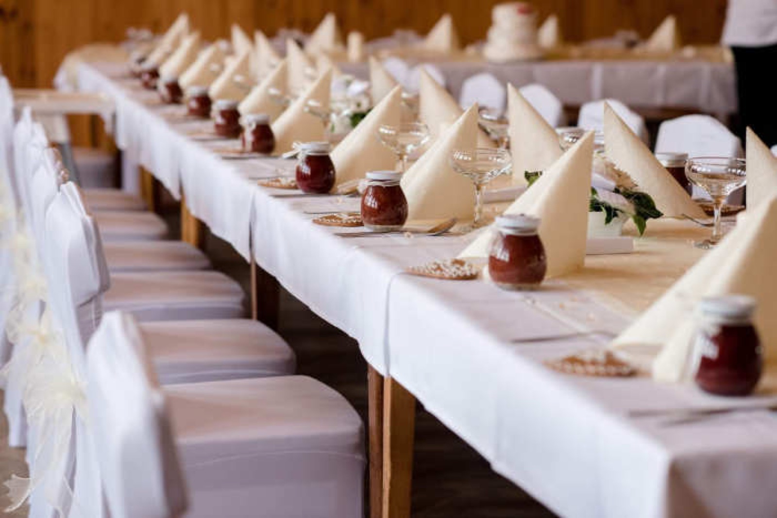 Prvorepublikový sál restaurace Na Veselce wedding venue - photo 4