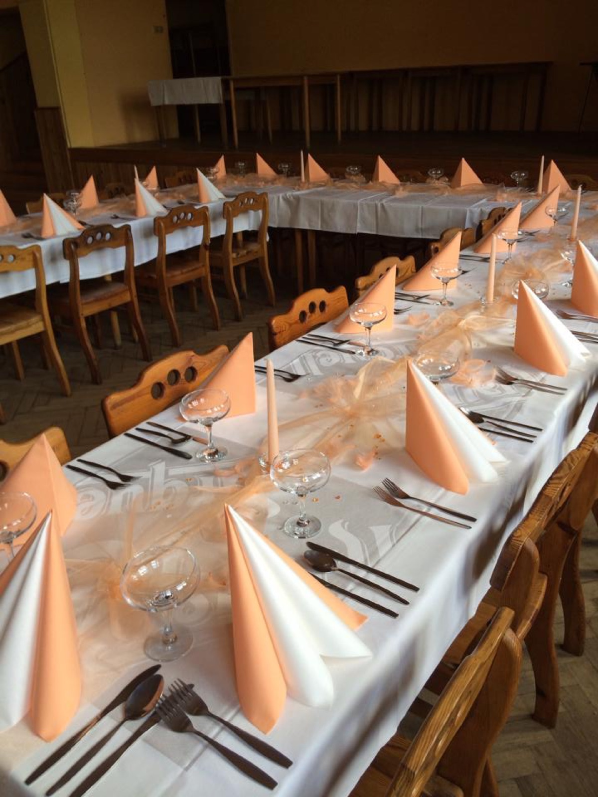 Prvorepublikový sál restaurace Na Veselce wedding venue - photo 10