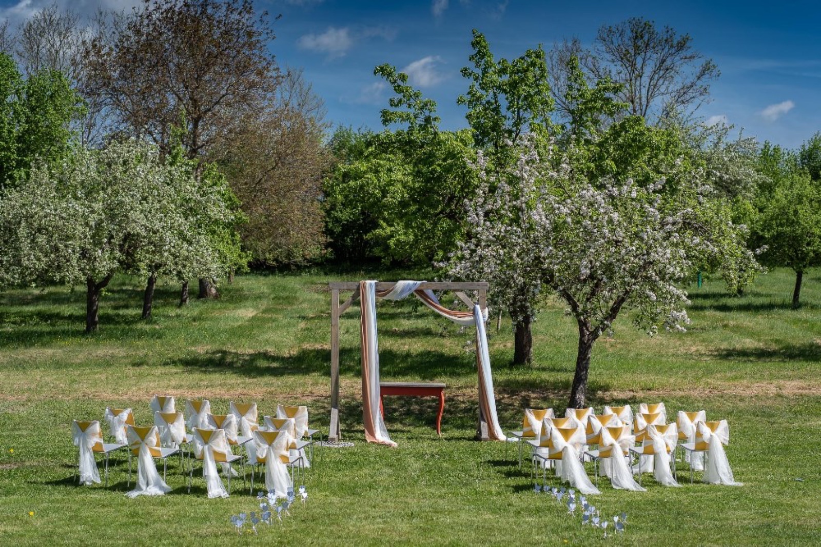 Zámek Ostrov wedding venue - photo 5