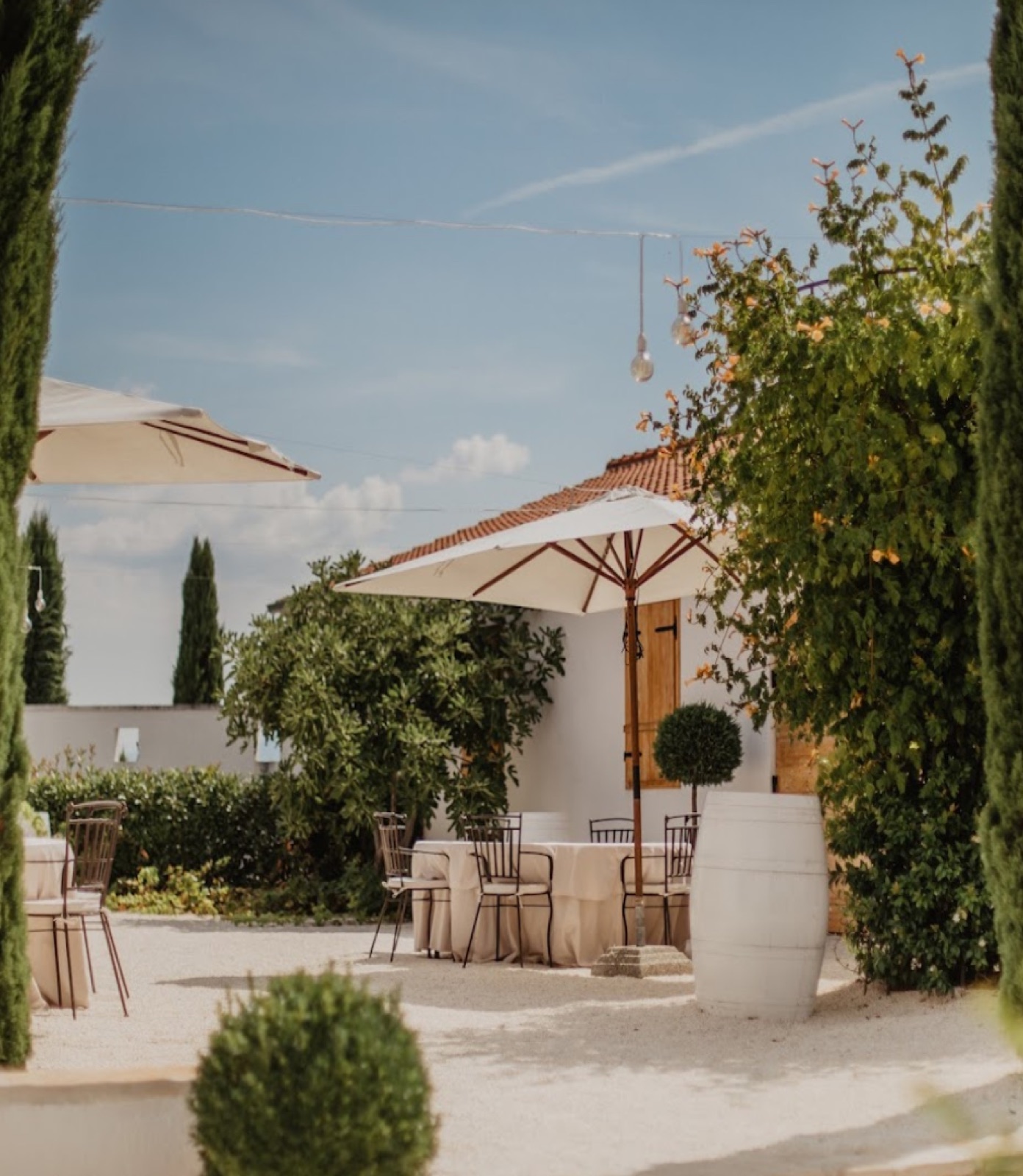 Bibich Winery