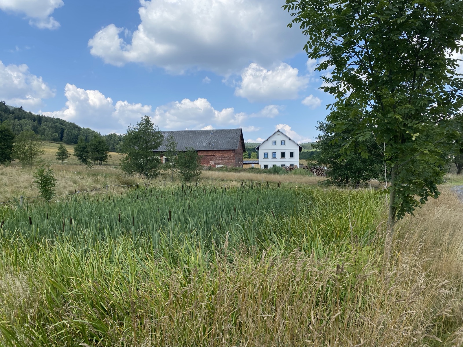 Statek 85 wedding venue - photo 4
