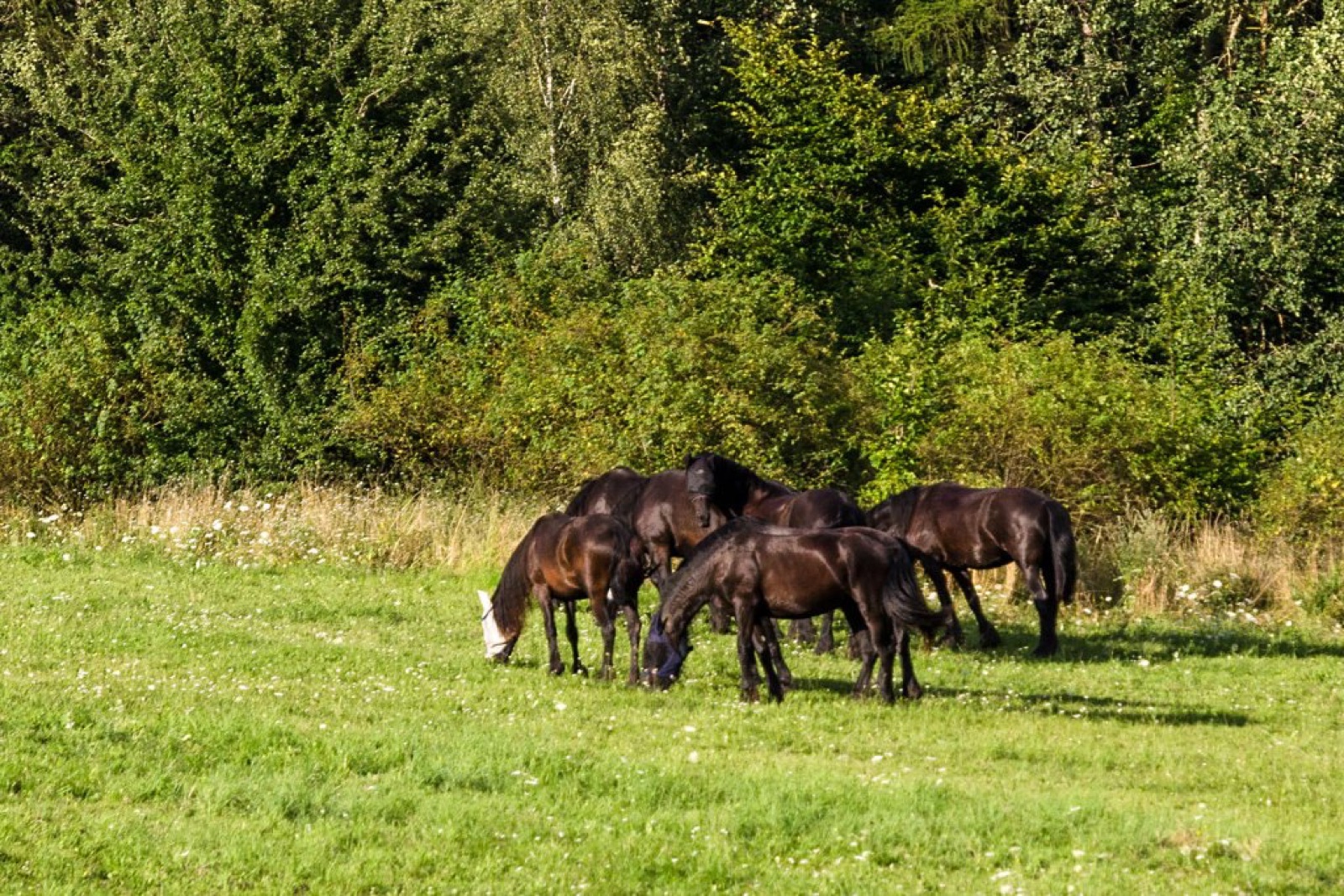 HOMUTŮV STATEK wedding venue - photo 9