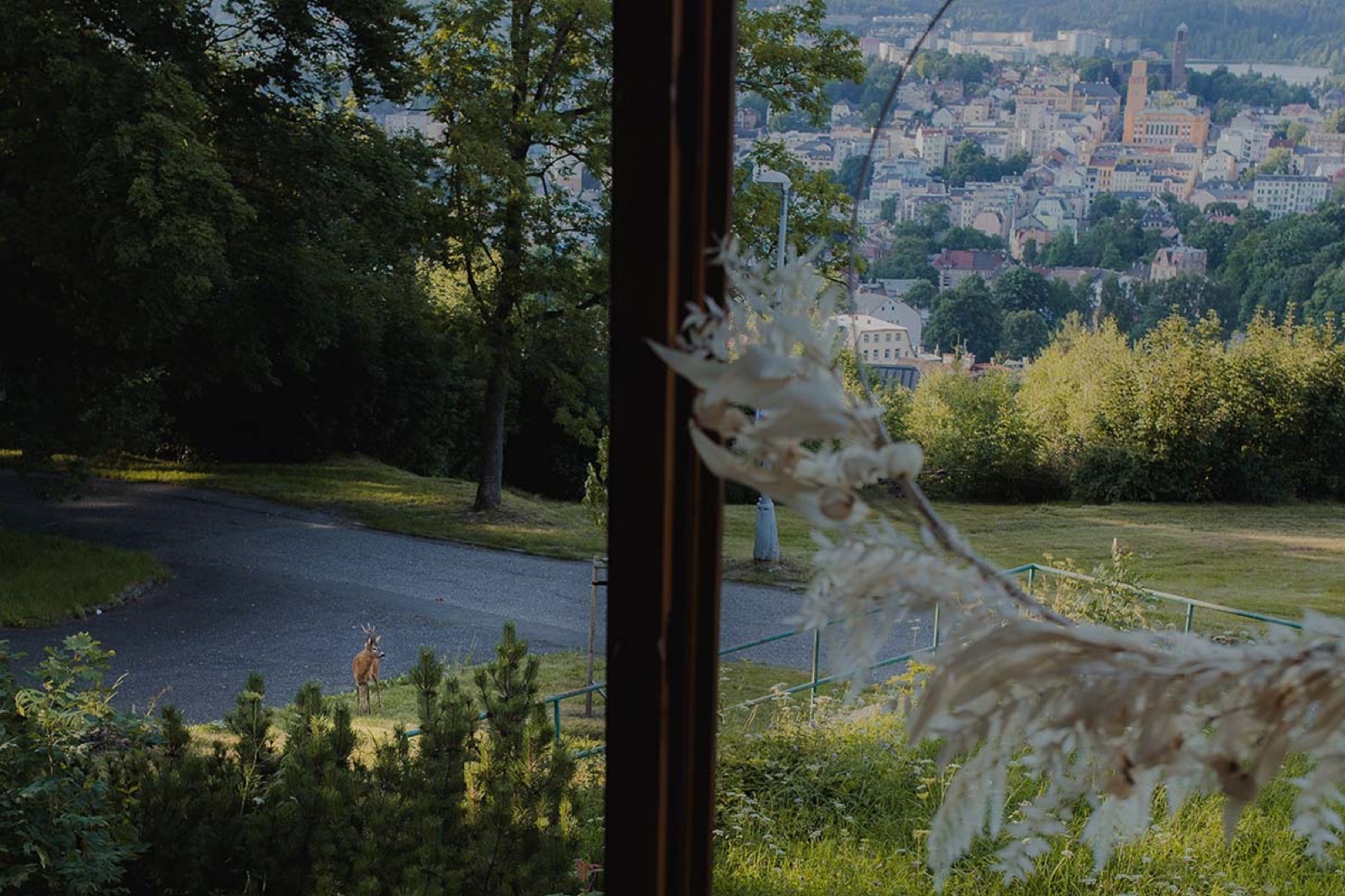 Hotel Petřín wedding venue - photo 5