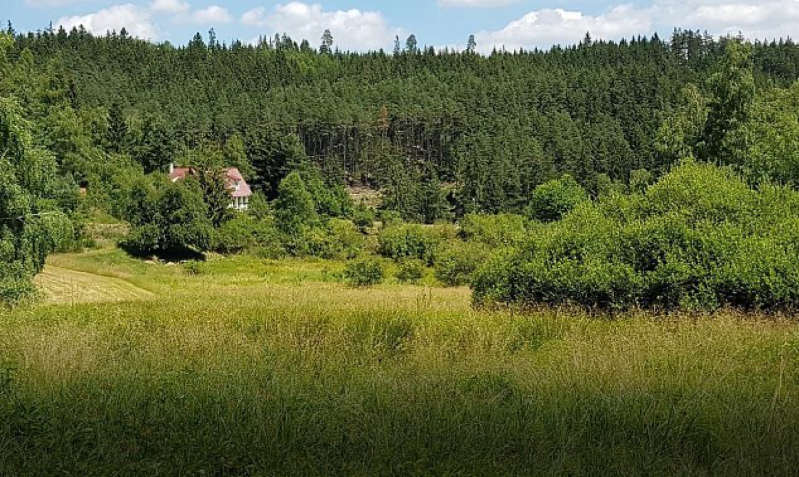 Landštejn wedding venue - photo 2