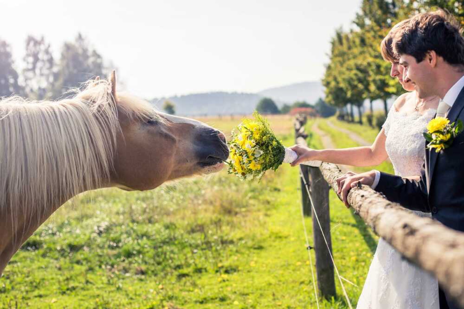Penzion Na Stodolci wedding venue - photo 3