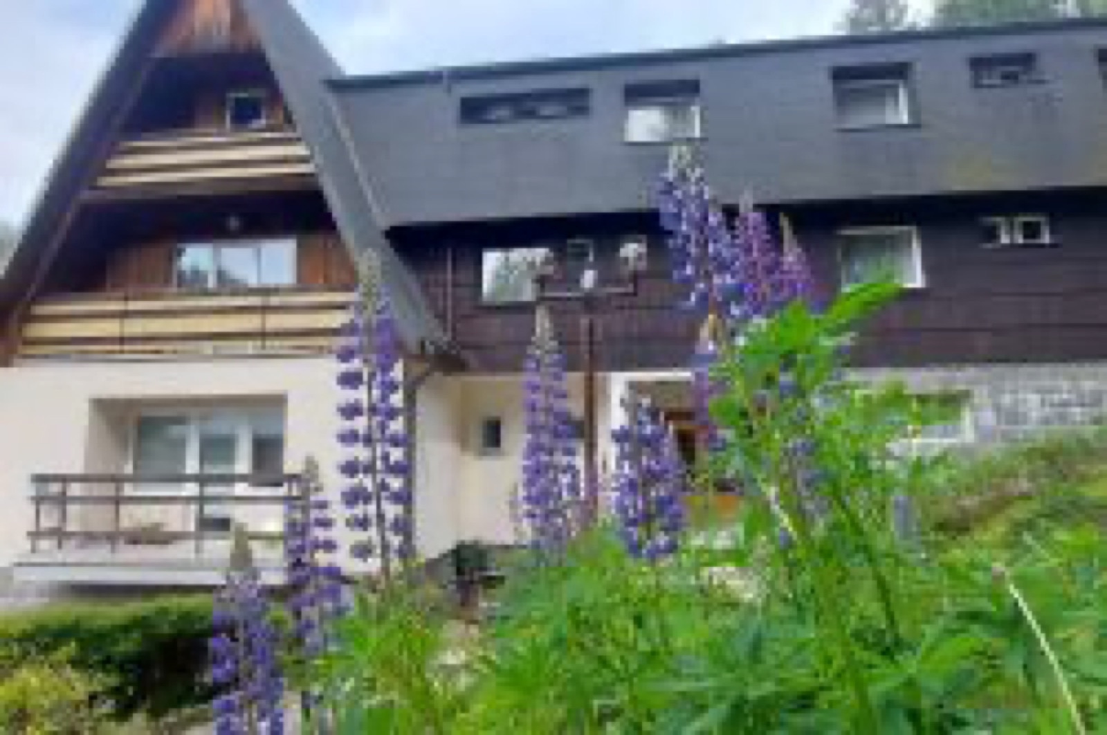 Penzion Svojanov wedding venue - photo 3