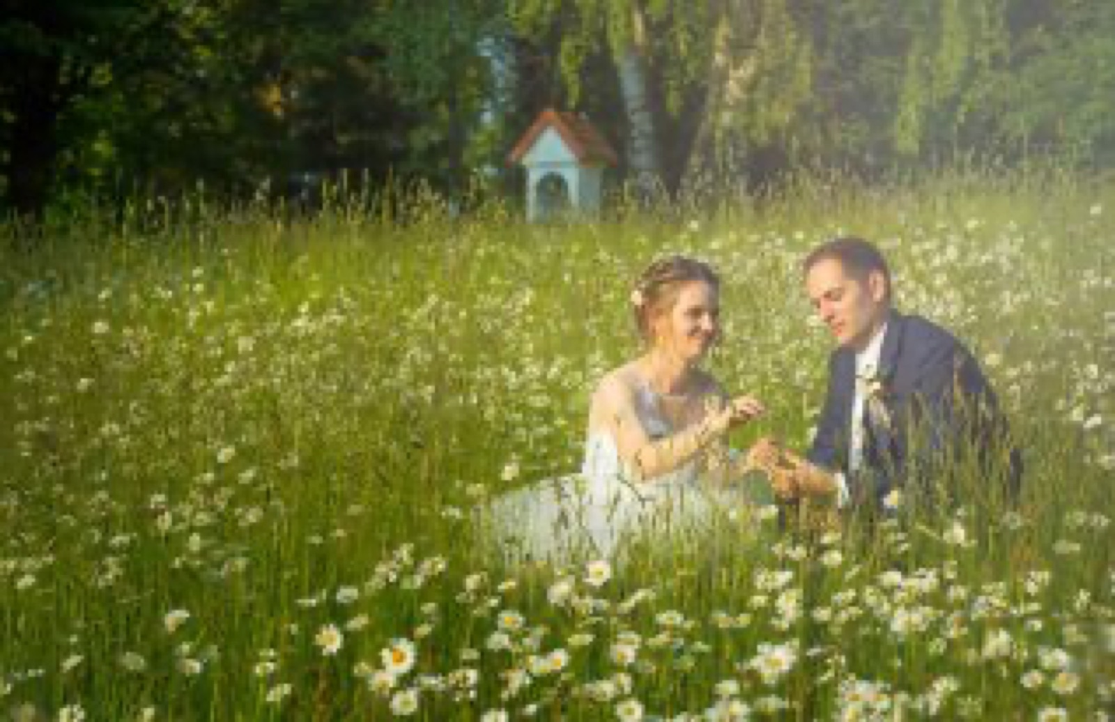 Hotel Mánes Svratka wedding venue - photo 3