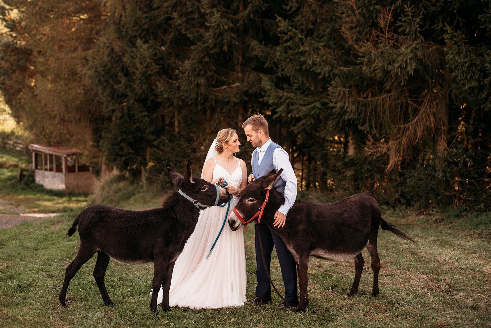 Hospodářský dvůr Bohuslavice wedding venue - photo 4