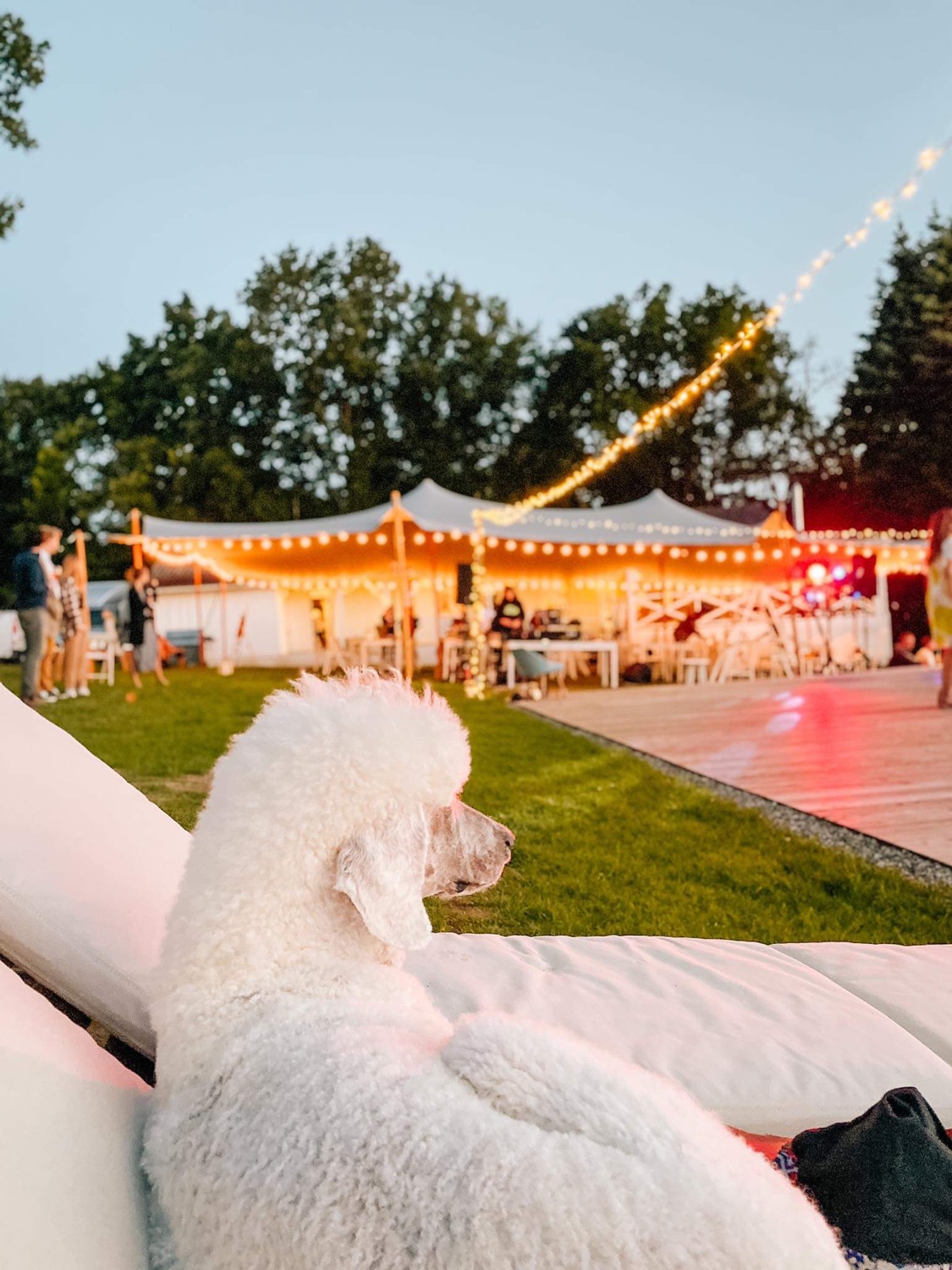 Malý Oslov Glamping wedding venue - photo 10